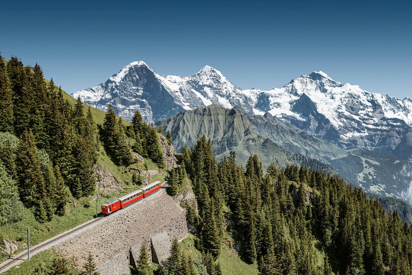 Schynige Platte